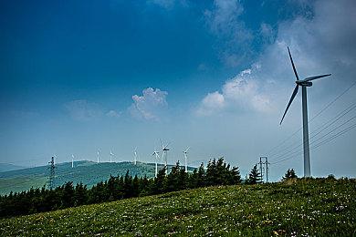 《沙漠大冒险》Steam预购开启 标准版定价298元